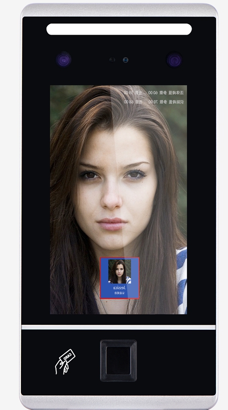 ����ʶ���